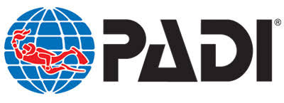 Padi